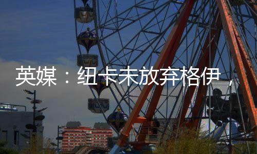 埃利奥特格伊符合战略需求