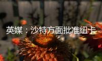 英媒	：沙特方面批准纽卡高价签伊兰加
，目标还包括格伊等国脚球员