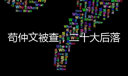 关于苟仲文更多的部级故事