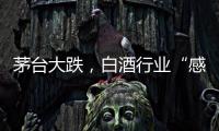 茅台大跌	，白酒行业“感受到冷气”