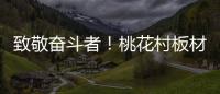 致敬奋斗者
！桃花村板材以国标级环保守护每个家