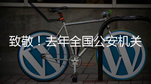 26小时内侦破入室抢劫杀人案