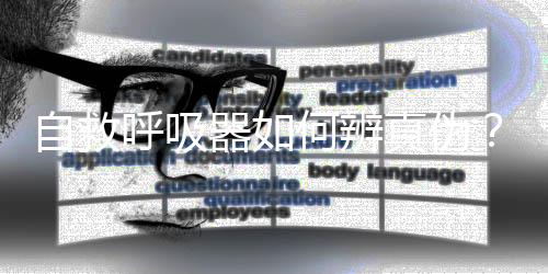 过滤式消防自救呼吸器