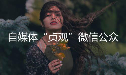 出租账号被停止使用