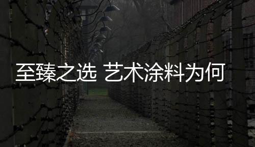 艺术贝壳碳酸钙为基料