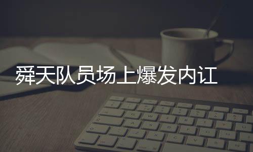 舜天这样的队员德拉数据