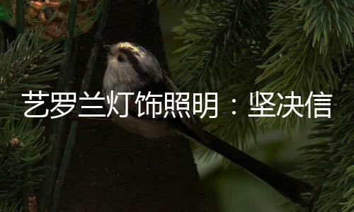 细节与松树树枝混合
