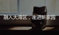 快排公司十年历程，霸屏兔 seo 的崛起与坚守