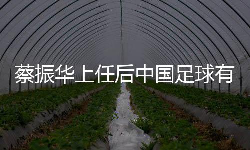 中国职业联赛的蔡振声誉