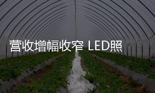 LED行业下游企业发展情况