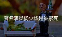 著名演员杨少华是被累死的
�
？儿子杨议回应：那天问他“行吗”
，他说不在家待着就行
，“他跑腿跑了一辈子，就喜欢出去溜溜！”