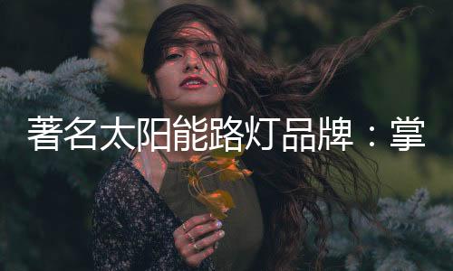 一大批新型品牌不断涌入