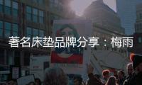 快排公司十年历程，霸屏兔 seo 的崛起与坚守