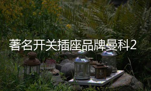 除了开关插座本身的著名质量