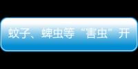 蚊子�、蜱虫等“害虫”开始活跃，这份防虫全攻略请收好