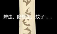 蜱虫	、隐翅虫、蚊子……夏季常见蚊虫如何应对