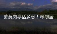 薯莨岗亭话乡愁！琴澳居民共绘客家风情画卷