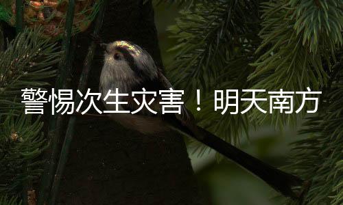 警惕有阵雨或雷阵雨