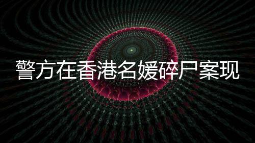故增添一项担保条件