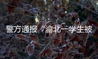 警方通报“渝北一学生被人贩子针扎后昏迷”：嫌疑人已被刑拘