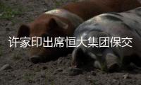 许家印出席恒大集团保交楼专题会议
