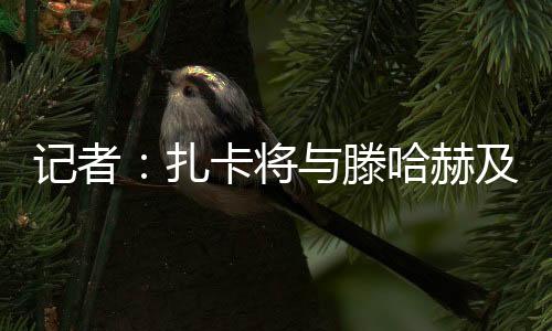哈赫这让扎卡非常失望
