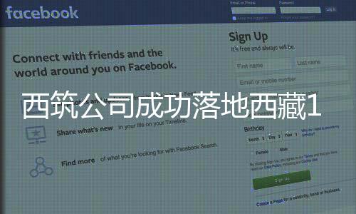公司合理规划资金使用