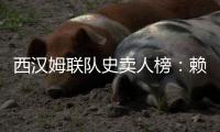西汉姆联队史卖人榜：赖斯居首	，库杜斯6380万欧列第二
