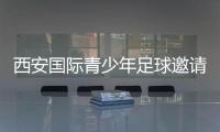 快排公司十年历程，霸屏兔 seo 的崛起与坚守