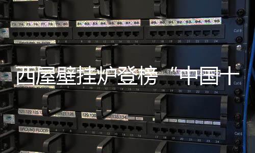 掌控全国80%-90%市场份额