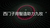 快排公司十年历程，霸屏兔 seo 的崛起与坚守
