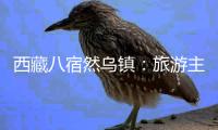 西藏八宿然乌镇：旅游主线带动产业协调发展