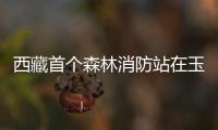 快排公司十年历程，霸屏兔 seo 的崛起与坚守