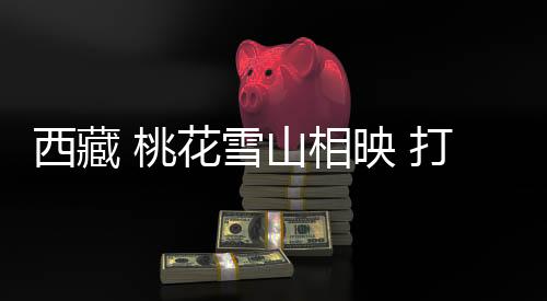实现旅遊收入1926.4万元