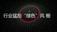 快排公司十年历程，霸屏兔 seo 的崛起与坚守