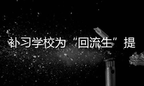 现已抓获犯罪嫌疑人6名