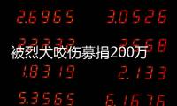 被烈犬咬伤募捐200万争议
：医院称未开证明，轻松筹称家属自估金额