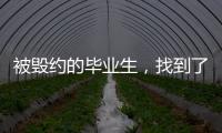 被毁约的毕业生	，找到了更好的工作丨记者手记