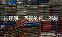 被误解	、忽视的它：不是凉拌菜
，退化形势严峻｜世界海草日