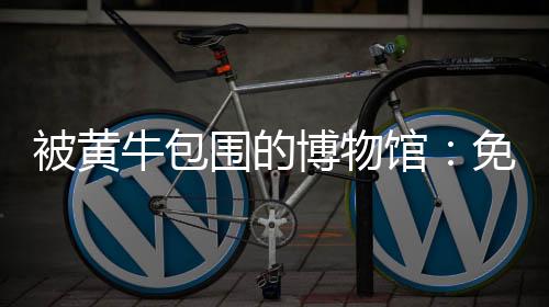 “提供身份信息可以帮抢