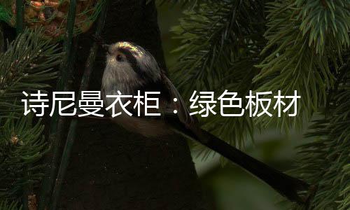 时尚大气的诗尼色板产品风格