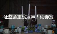 证监会重磅发声！债券发行迎新规 这些“常见行为”被明令禁止