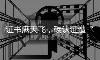 证书满天飞，碳认证遭“大扫除”
