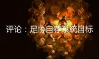 评论：足协自荐系统目标需更加明确