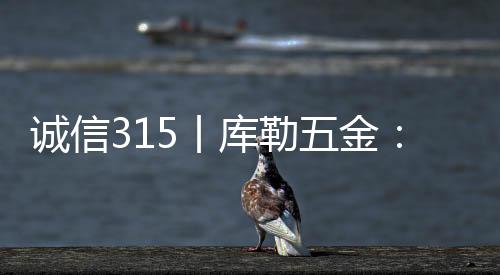 承诺只做优质门窗五金