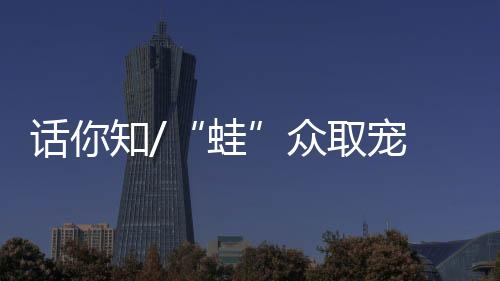 国爆走到哪都吸引人驻足围观