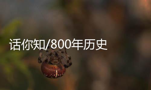 恐龙
、话知极具民俗风情