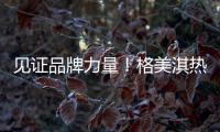 见证品牌力量�！格美淇热水器荣获“中国十大品牌”称号