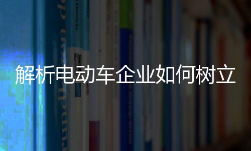 解析电动车企业如何树立权威