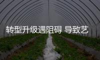 快排公司十年历程，霸屏兔 seo 的崛起与坚守